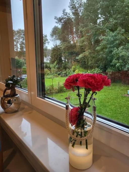 Haus Am Walde Apartment Mullrose Ngoại thất bức ảnh